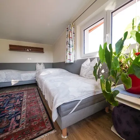 Apartment Ferienwohnung Greiler